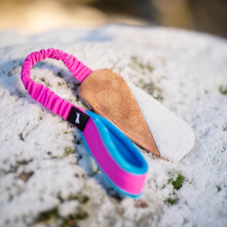 BungeeCutie pink-turquoise.jpg