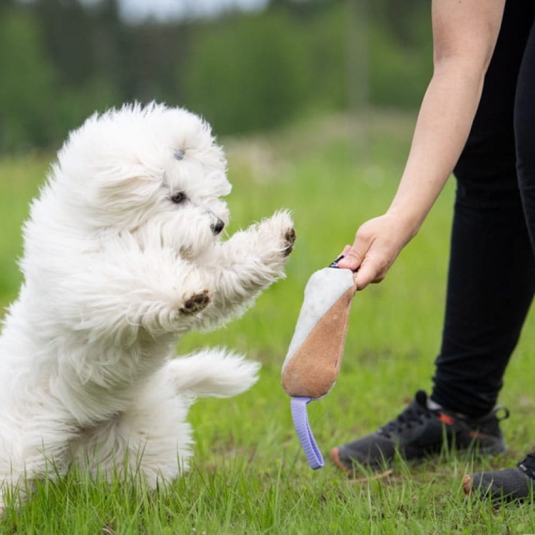 Cutie tug toy lilac with puppy.jpg