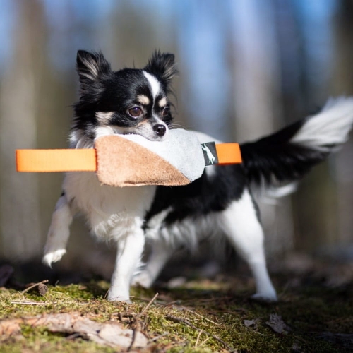 Cutie tug toy orange for small dogs.jpg