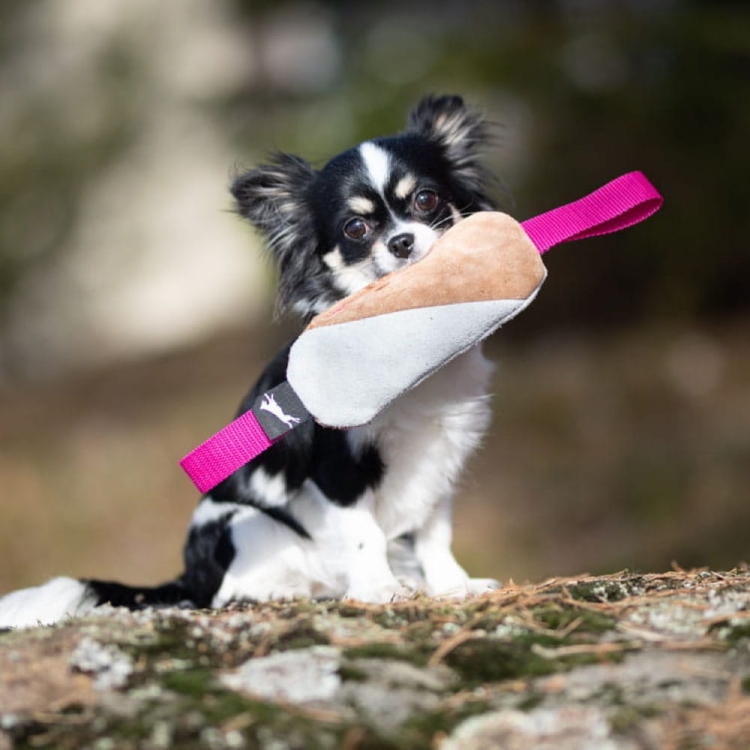 Cutie tug toys pink from JoyOfDogSports.jpg