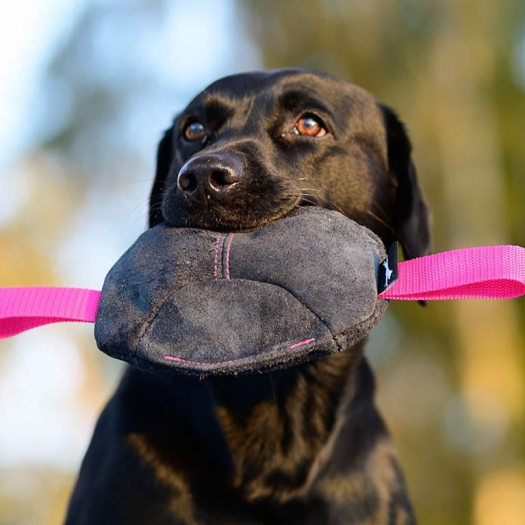 Toughie suede tug toy black and pink.jpg