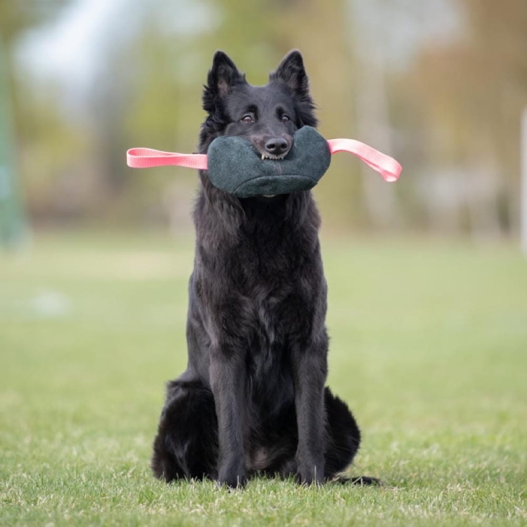 Toughie XL tug toy pink.jpg