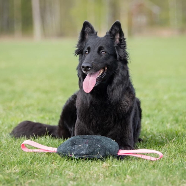 Toughie tug toy pink XL size.jpg