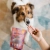 daj dwa perro konina.webp
