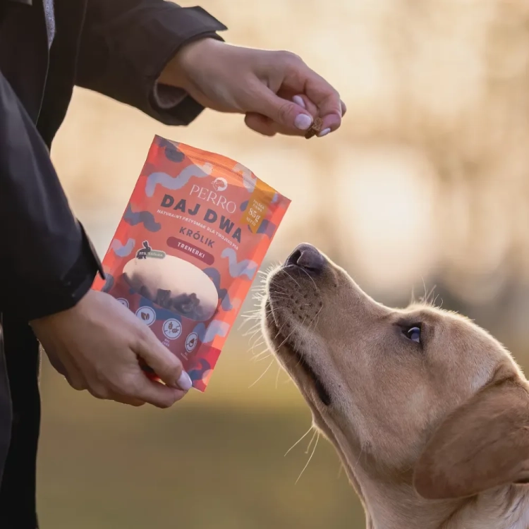 daj dwa perro królik.webp