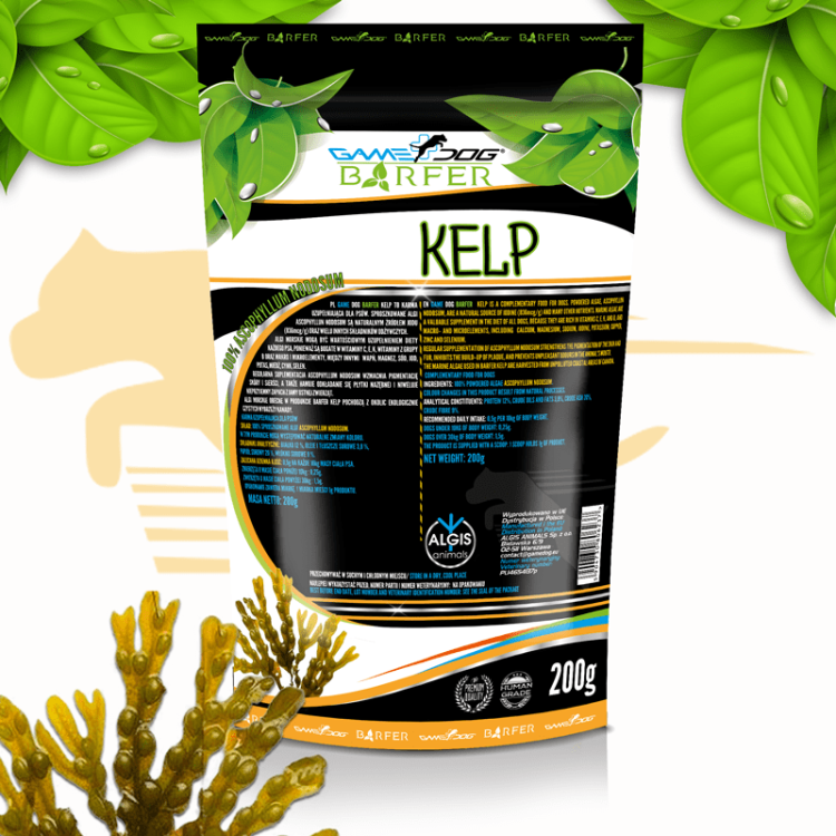 Kelp-2.png