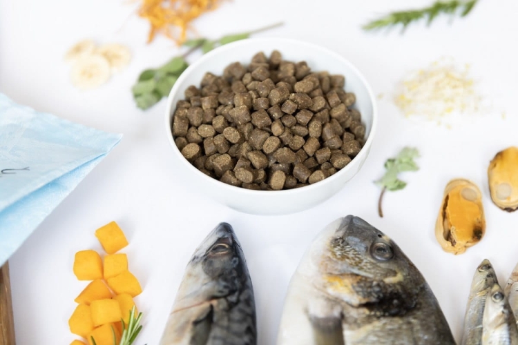 YDOLO-Wild-Fish-ryby-morskie-karma-polwilgotna-dla-psa-2-5kg_[3916]_1200.jpg