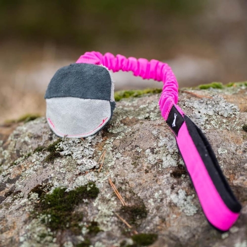 TeenyTiny with bungee pink-black.jpg