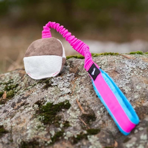 TeenyTiny ball with bungee pink-turquoise.jpg