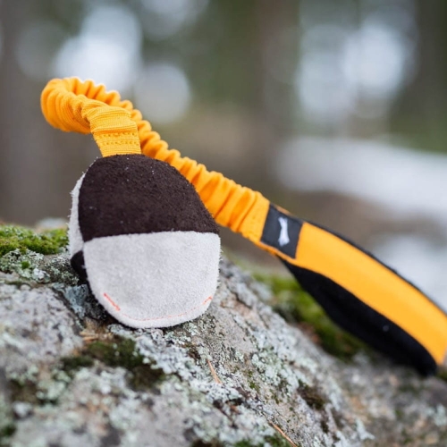 TeenyTiny with bungee orange-black.jpg