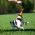 TeenyTiny with bungee orange small dog.jpg