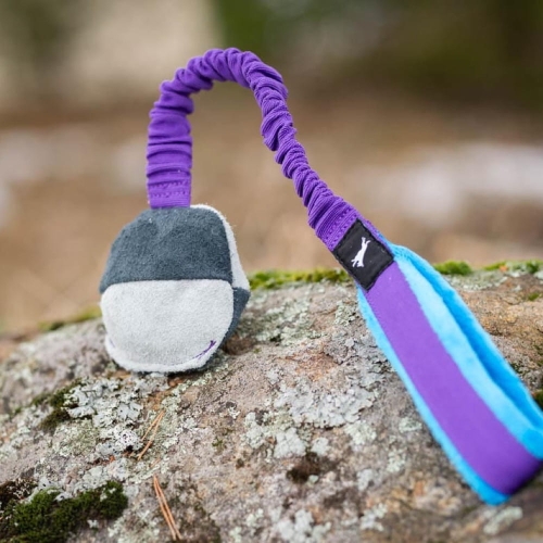 TeenyTiny with bungee lilac-turquoise.jpg