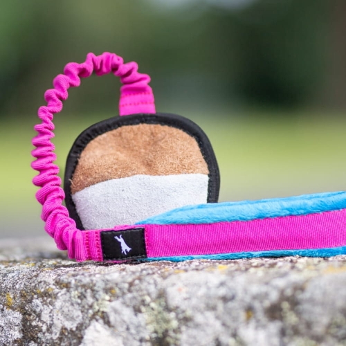 BungeeSweetie pink-turquoise.jpg