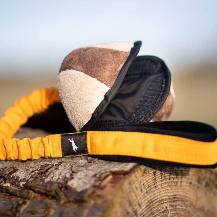 BungeeSweetie XL orange and black.jpg