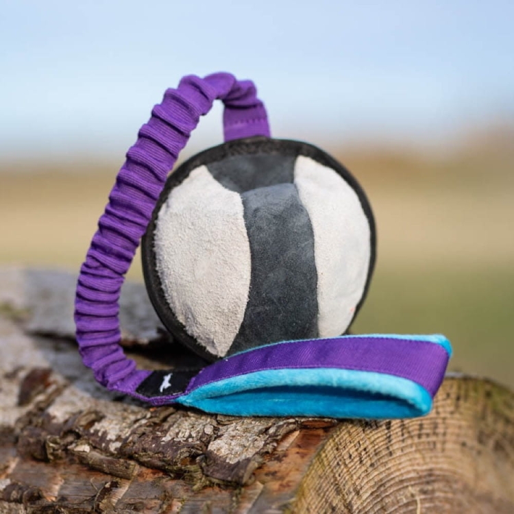 BungeeSweetie XL lilac-turquoise.jpg