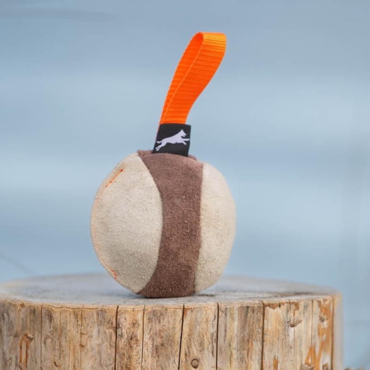 Chewie suede ball for dog training orange.jpg