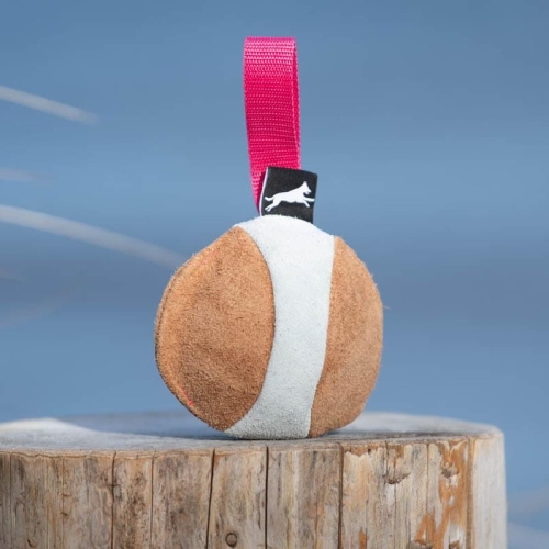 Chewie suede ball for dog training pink.jpg