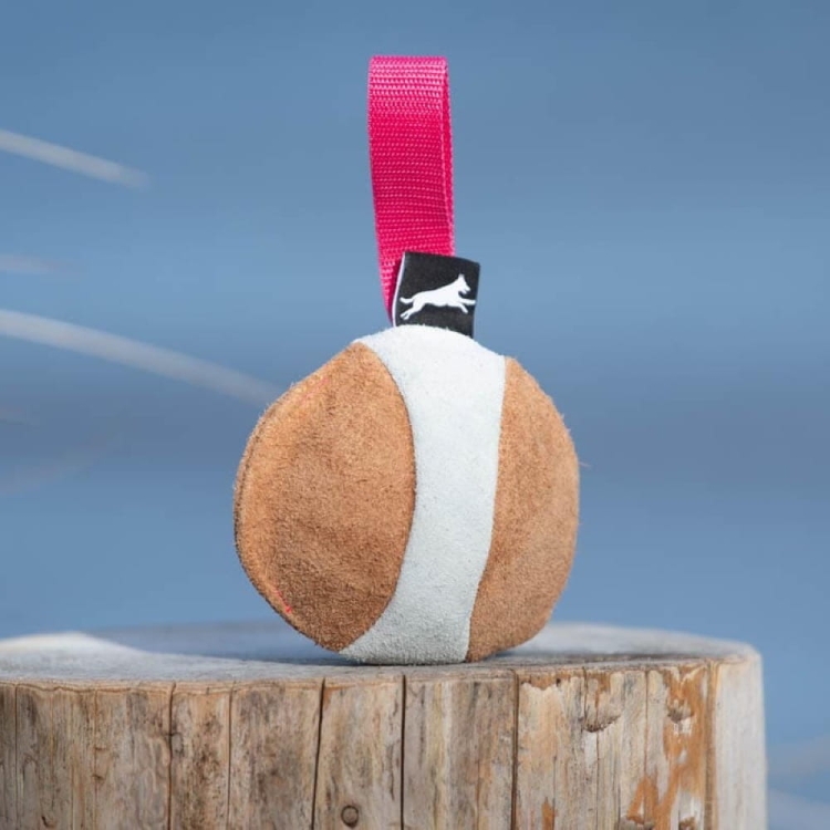 Chewie suede ball for dog training pink.jpg