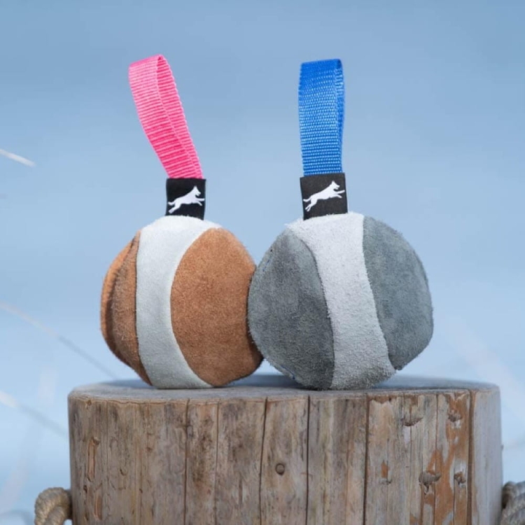 Chewie suede ball for dog training pink and blue.jpg
