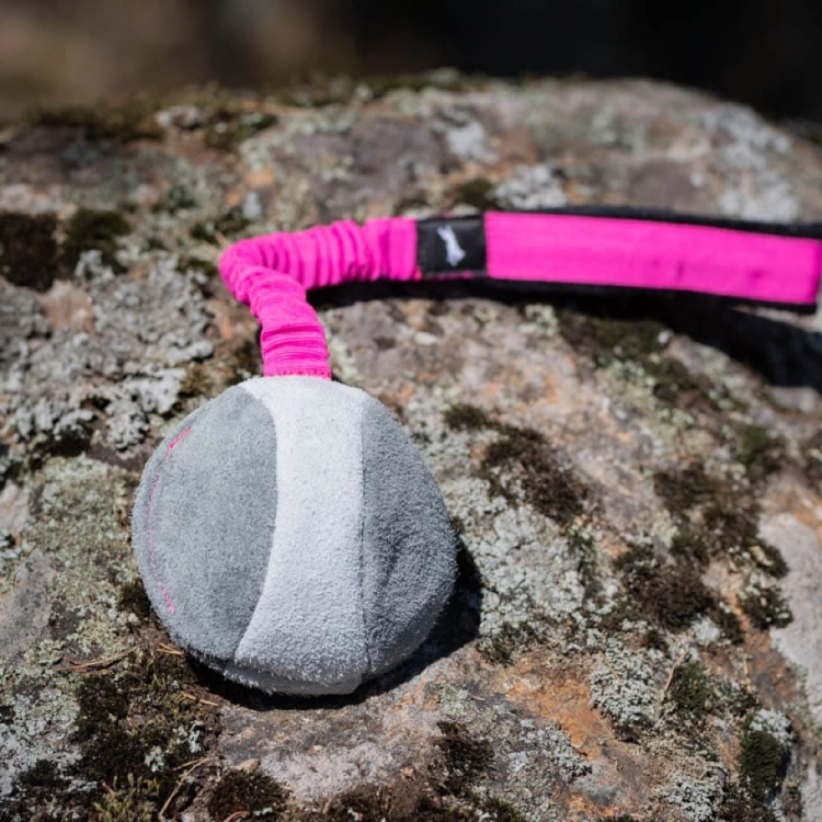 BungeeChewie pink-black dog toy.jpg
