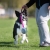 BungeeChewie pink-black Border Collie.jpg