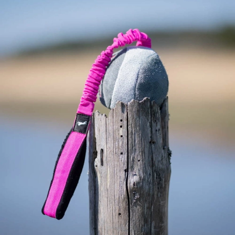 BungeeChewie pink-black dog training toy.jpg