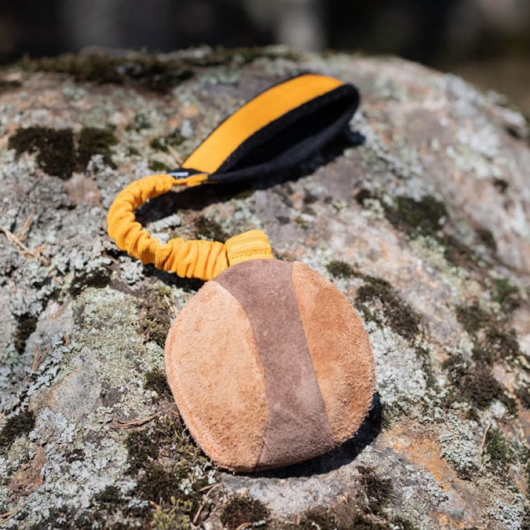 BungeeChewie orange dog toy.jpg